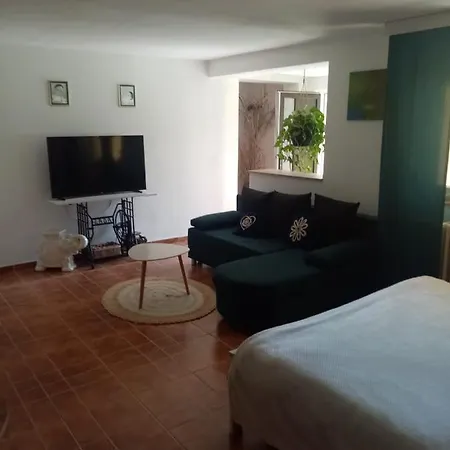 Apartman Ivana *